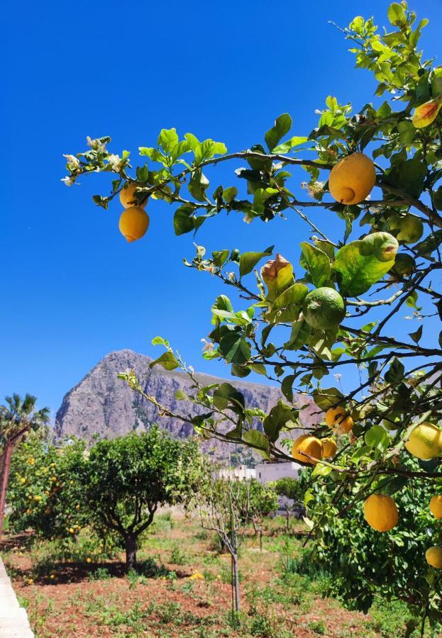 Casa Vacanze Il Faro San Vito Lo Capo-Trapani-Sicilia Ovest Holiday Home Kültér fotó
