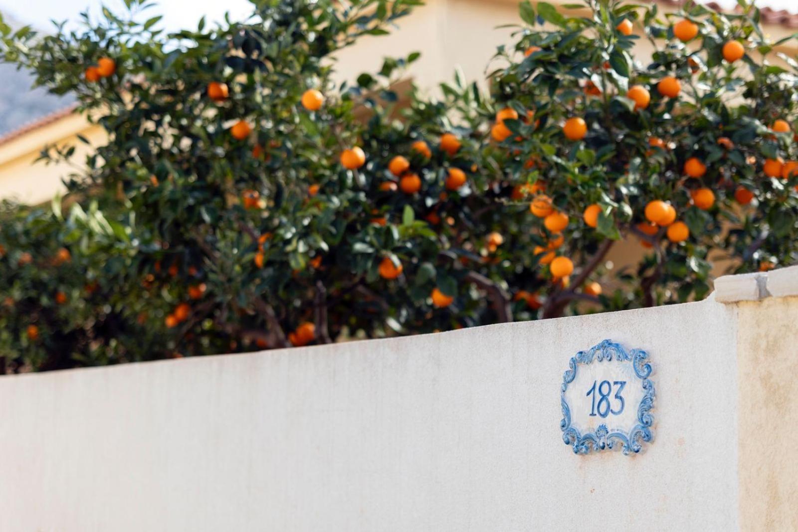Casa Vacanze Il Faro San Vito Lo Capo-Trapani-Sicilia Ovest Holiday Home Kültér fotó