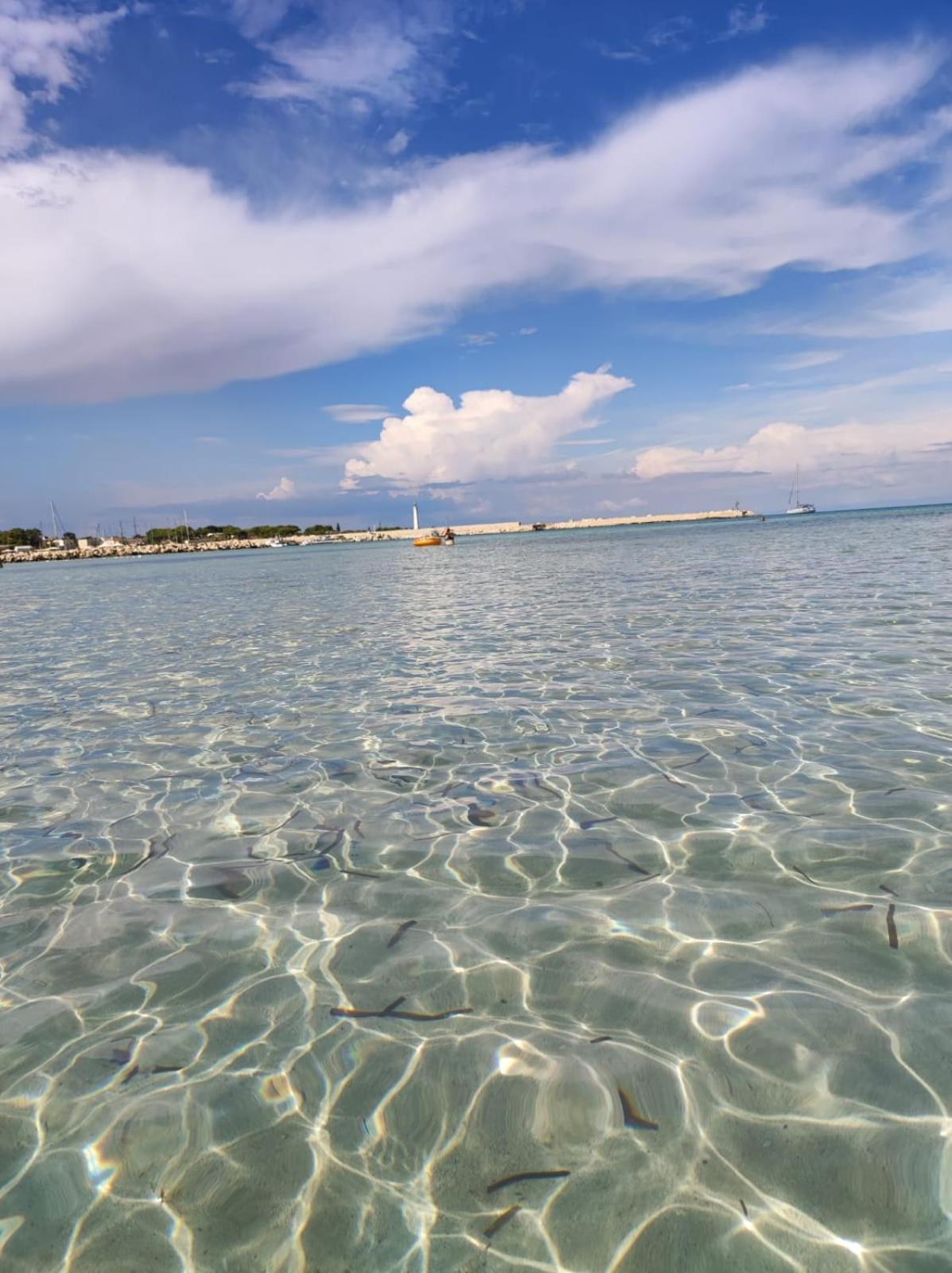 Casa Vacanze Il Faro San Vito Lo Capo-Trapani-Sicilia Ovest Holiday Home Kültér fotó